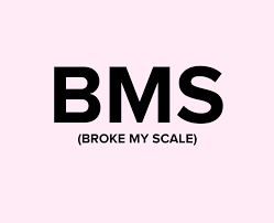 bms meaning in text