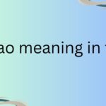 imfao meaning in text